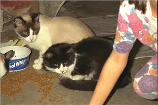 small_9400 0662 cew family etcIMG0085.webp